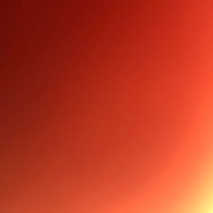 Meet your Posher, Amira